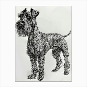 Kerry Blue Terrier Line Sketch 3 Canvas Print