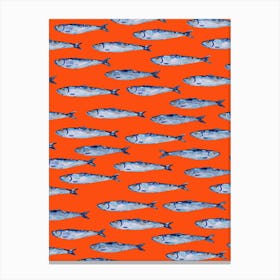 Sardines Swimming Canvas Print