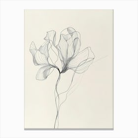 Peony 34 Canvas Print