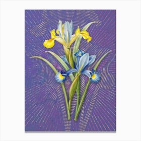 Vintage Spanish Iris Botanical Illustration on Veri Peri n.0741 Canvas Print