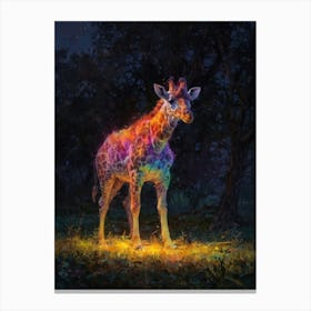 Giraffe 52 Canvas Print