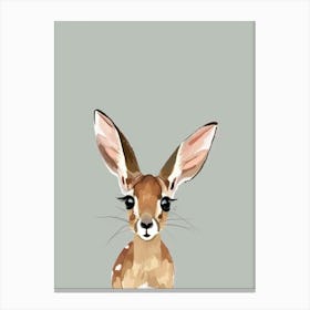 Fawn Look 1 Canvas Print