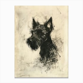 Cesky Terrier Dog Charcoal Line 1 Canvas Print
