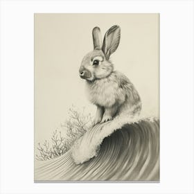 Netherland Dwarf Rabbit Drawing 3 Canvas Print
