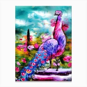 Proud Peacock Canvas Print