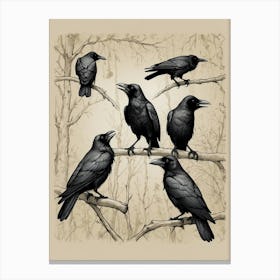 Crows On A Branch 2 Canvas Print