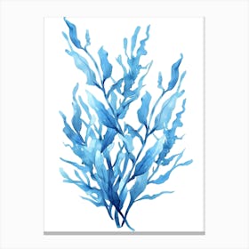 Seaweed 3 Canvas Print