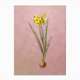 Vintage Daffodil Botanical Art on Crystal Rose n.0390 Canvas Print