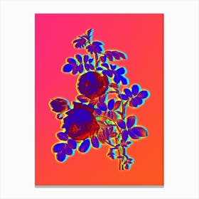 Neon Sulphur Rose Botanical in Hot Pink and Electric Blue n.0030 Canvas Print