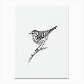 Hermit Thrush B&W Pencil Drawing 4 Bird Canvas Print