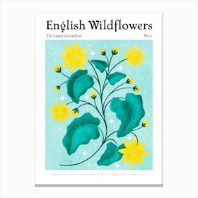 English Wildflowers Celandine Canvas Print