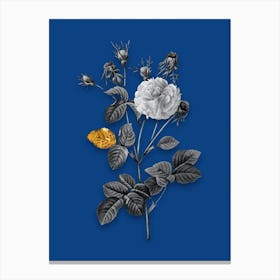 Vintage Pink Agatha Rose Black and White Gold Leaf Floral Art on Midnight Blue n.1177 Canvas Print