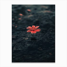 Flower In The Dark 99 Canvas Print