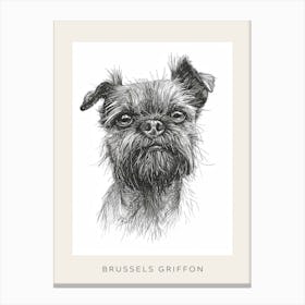 Brussels Griffon Line Sketch 4 Poster Canvas Print