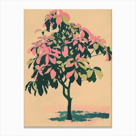 Pecan Tree Colourful Illustration 4 Canvas Print