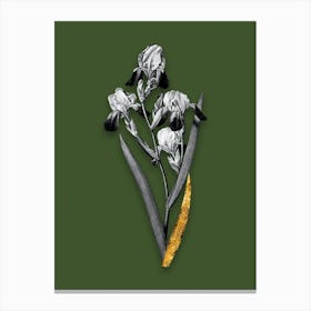 Vintage Elder Scented Iris Black and White Gold Leaf Floral Art on Olive Green n.0693 Canvas Print