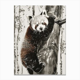 Red Panda Cub Climbing A Tree Ink Illustration 1 Canvas Print