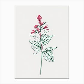 Peppermint Floral Minimal Line Drawing 2 Flower Canvas Print
