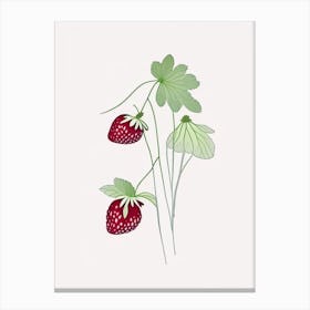 Alpine Strawberries, Plant, Minimal Line Drawing Canvas Print