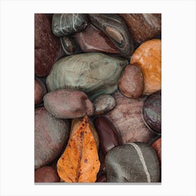 River Rocks Canvas Print