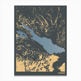 Bodensee Lake Constance Europe Hillshade Topography Map Canvas Print