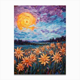 Daisies At Sunset Canvas Print