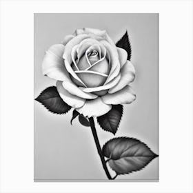 Rose B&W Pencil 1 Flower Canvas Print