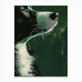 Border Collie Canvas Print Stampe su tela