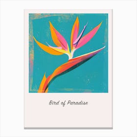 Bird Of Paradise 2 Square Flower Illustration Poster Canvas Print