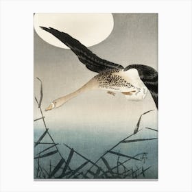 White Fronted Goose At Full Moon (1900 1930), Ohara Koson Canvas Print