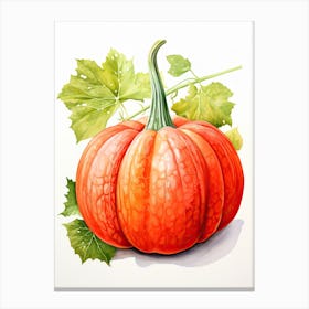 Red Kuri Squash Pumpkin Watercolour Illustration 3 Canvas Print