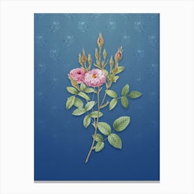 Vintage Mossy Pompon Rose Botanical on Bahama Blue Pattern n.0526 Canvas Print