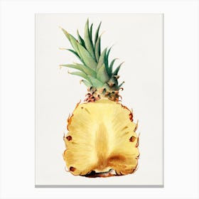 Pineapple Watercolor Painting Canvas Print
