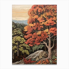 American Chestnut 1 Vintage Autumn Tree Print  Canvas Print