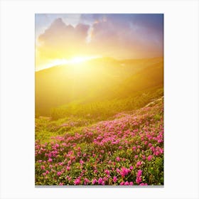 Pink Flowers In The Mountains Canvas Print