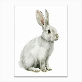English Silver Rabbit Kids Illustration 3 Canvas Print
