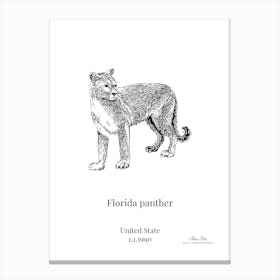 Florida Panther Canvas Print