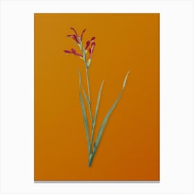 Vintage Gladiolus Cunonius Botanical on Sunset Orange n.0134 Canvas Print