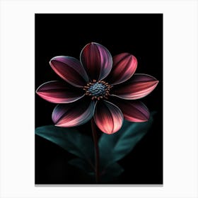 Fuchsia Flower Canvas Print