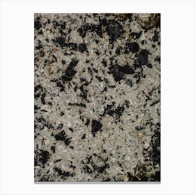 Black And White Granite Canvas Print