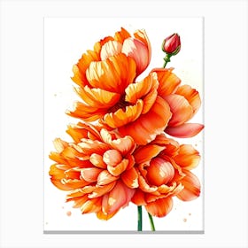 Orange Peony Flowers Canvas Print