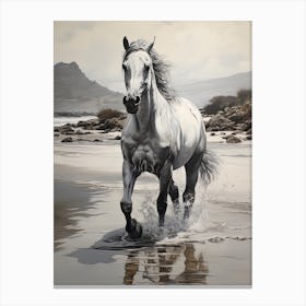 A Horse Oil Painting In Boulders Beach, South Africa, Portrait 1 Canvas Print