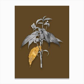 Vintage Commelina Zanonia Black and White Gold Leaf Floral Art on Coffee Brown n.0833 Canvas Print