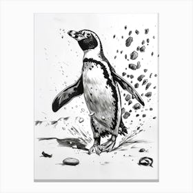 African Penguin Playing 2 Canvas Print
