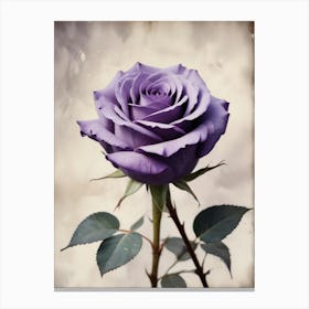 Purple Rose Canvas Print