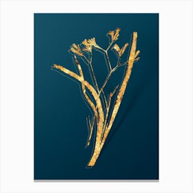 Vintage Anigozanthos Flavida Botanical in Gold on Teal Blue Canvas Print