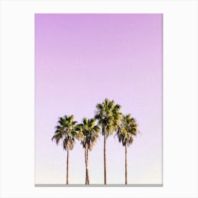 Three Palm Trees Against A Purple Sky Canvas Print