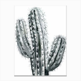Silver Torch Cactus Minimalist Abstract 2 Canvas Print