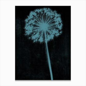 Black teal single allium Canvas Print