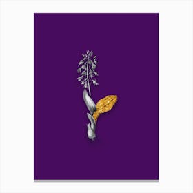 Vintage Brown Widelip Orchid Black and White Gold Leaf Floral Art on Deep Violet n.0711 Canvas Print